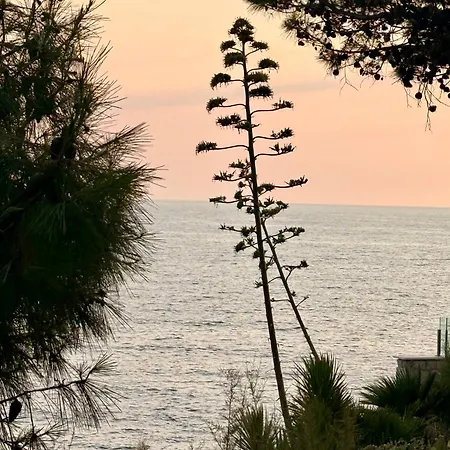 Misita Elegant Seaview