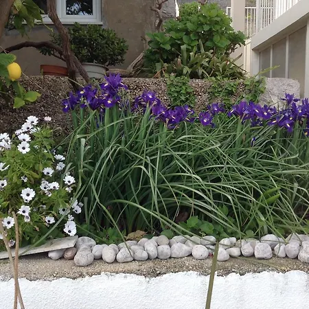 Πανσιόν Misita 3*